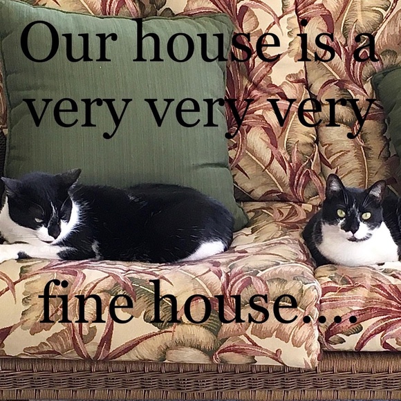 Meet your Posher, Victoria - Picture 6 of 16